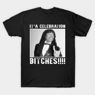 Retro Classic It's A Celebration Bitches T-Shirt